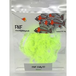 fnf jelly 10
