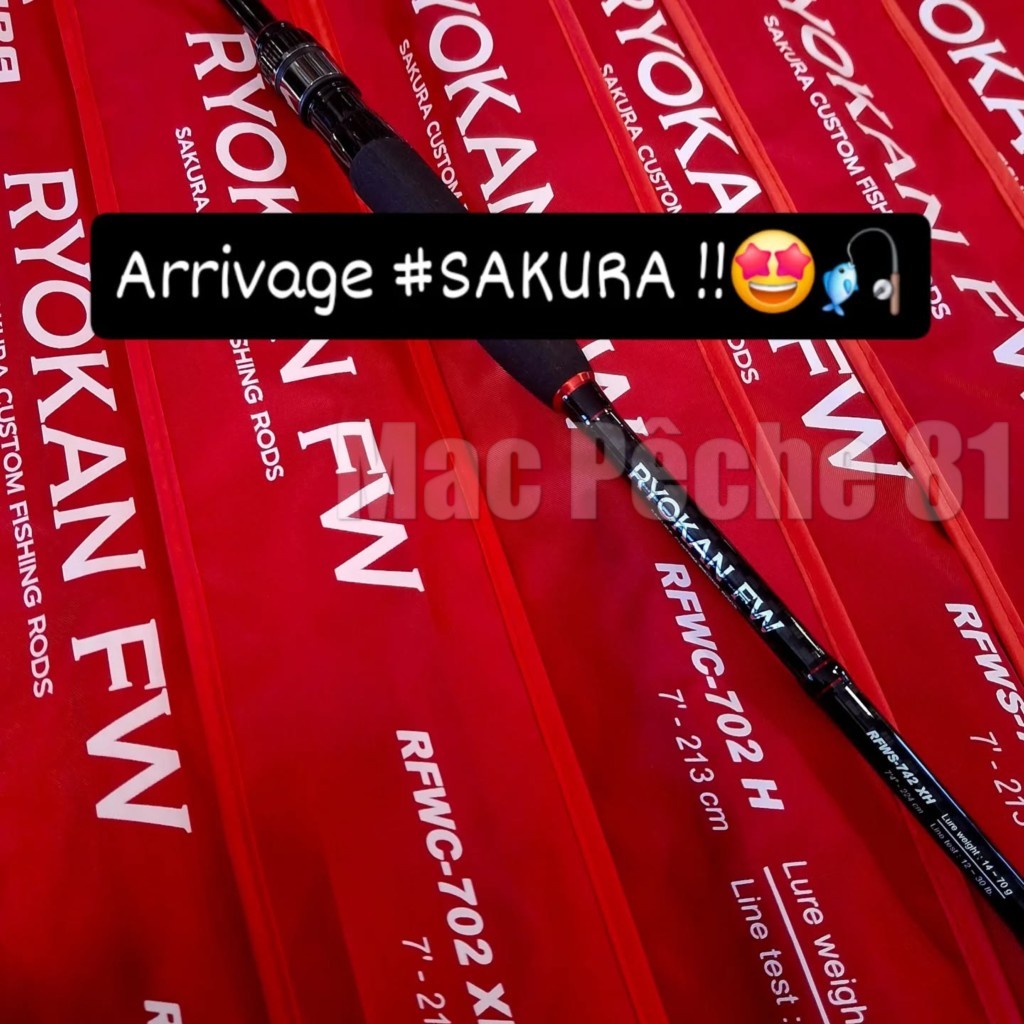 Canne Sakura