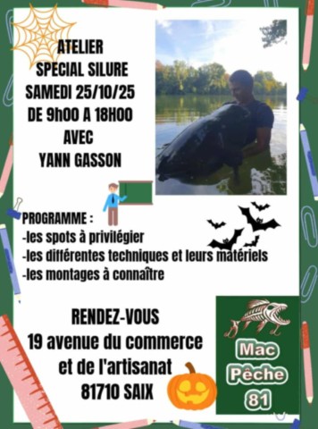 pêche silure tarn
