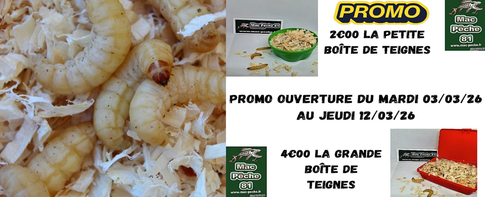 Promo teignes tarn pêche